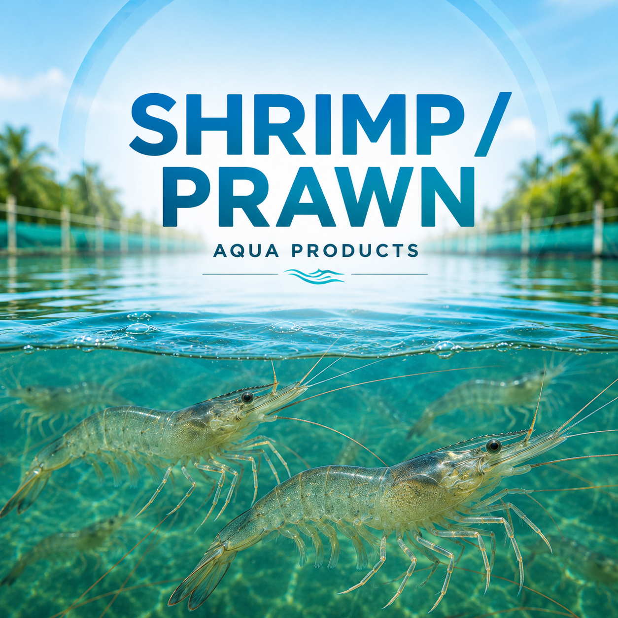 SHRIMP / PRAWN FEED SUPPLEMENTS